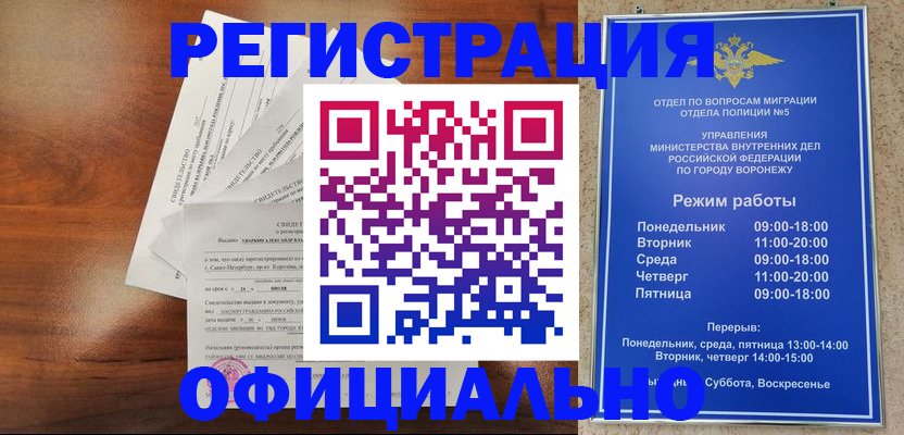 прописка поиск в Котово